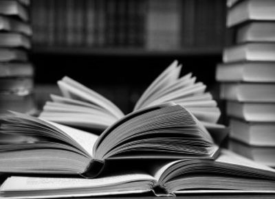 Consultas y Dictámenes